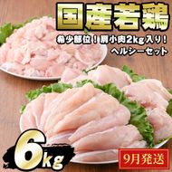 【0124806a-2609】＜2026年9月発送予定＞国産若鶏肉ヘルシーセット(合計6kg・ムネ、ささみ、肩小肉) 鶏肉 鳥肉 とり肉 むね肉 おかず 小分け 国産【エビス】