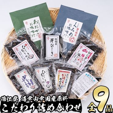  佐伯市産 国産海藻詰め合わせ (9品) ひじき 海藻 ふりかけ ちりめん こんぶ あおさ 味噌汁 サラダ ごはん おにぎり 常温 国産 大分県 佐伯市【DE03】【安部水産 (株)】