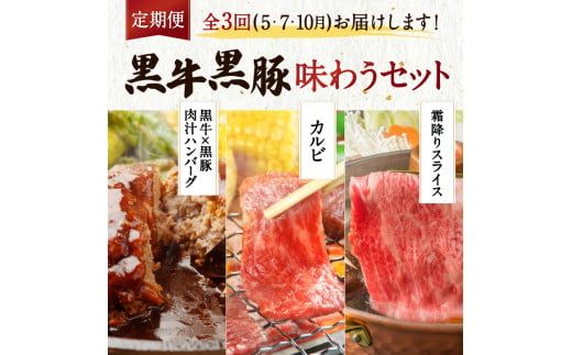 【全３回】黒牛黒豚味わうセット　K098-T03