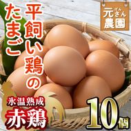 ＜氷温熟成＞平飼い赤鶏のたまご 黄嬉 (計10個) 元さん農園 卵 玉子 卵かけご飯 玉子焼き 平飼い 鶏 鶏卵 養鶏場直送 朝採れ 新鮮 大分県 佐伯市 【GE007】【 (株)海九】