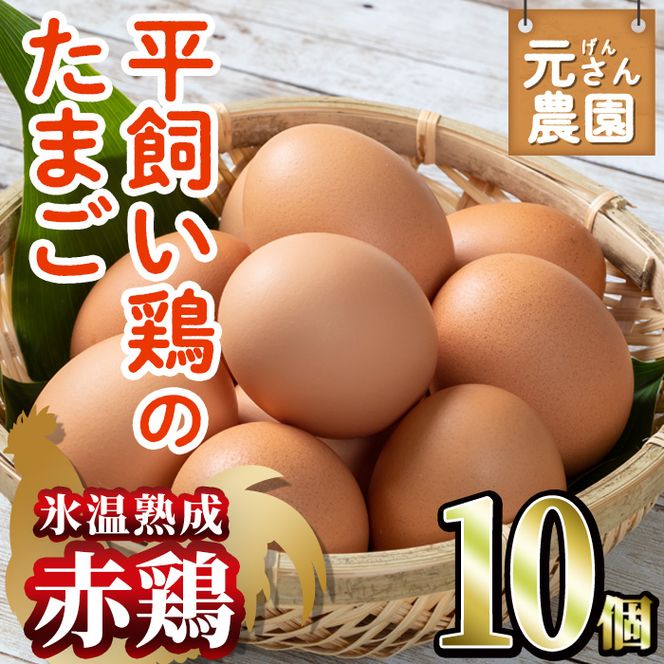 ＜氷温熟成＞平飼い赤鶏のたまご 黄嬉 (計10個) 元さん農園 卵 玉子 卵かけご飯 玉子焼き 平飼い 鶏 鶏卵 養鶏場直送 朝採れ 新鮮 大分県 佐伯市 【GE007】【 (株)海九】