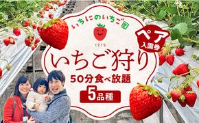 いちご狩り 5品種 食べ放題 50分 ペア入園券 いちにのいちご園 N085-YA839