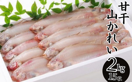 【干物 甘干し山かれい2kg（15枚入り）干物の本場 香住産 冷凍】発送目安：入金確認後、順次発送いたします。兵庫県 香美町 ふるさと納税 蔵平水産 08-06