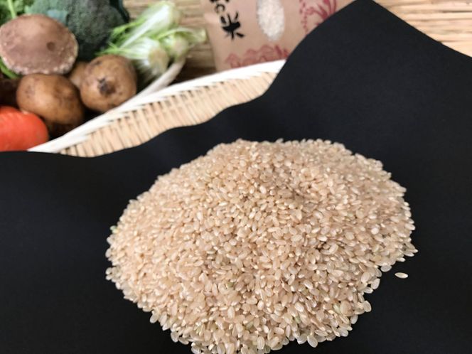 【栽培期間農薬不使用】お米と野菜セット6ヶ月定期便（KBE-20）