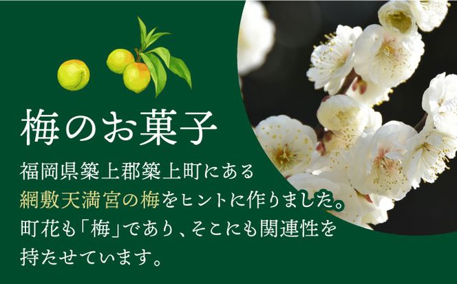 【老舗の菓子屋】築上銘菓「 梅の実 」25 個《築上町》【有限会社　御菓子司　鹿の子】 [ABAC007]