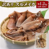 缶詰3種セット ほたて かき つぶ貝 各3個 計9個 帆立 牡蠣 貝 缶詰3種セット ほたて かき つぶ貝 各3個 計9個 帆立 牡蠣 貝