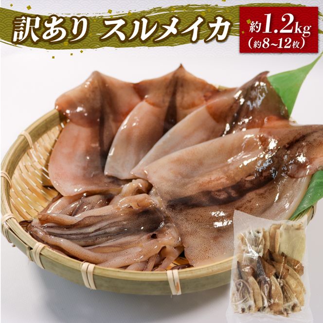 訳あり スルメイカ 1.2kg 8〜12枚入 いか スルメイカ 海鮮 魚貝類 魚介類 おつまみ 開き お酒のあて 煮物 おかず ご飯 白米 三陸産 岩手県 大船渡市 [56500643]