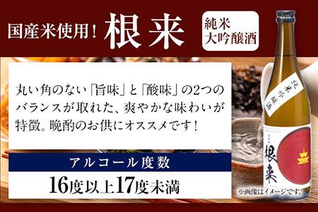 日本城 純米大吟醸酒 純米吟醸酒 根来 飲み比べセット 720ml×2本セット 厳選館《90日以内に出荷予定(土日祝除く)》 和歌山県 日高川町 酒 純米吟醸 飲み比べ 1440ml 純米大吟醸酒 純米吟醸酒---wshg_genngjk_90d_22_14000_2p---