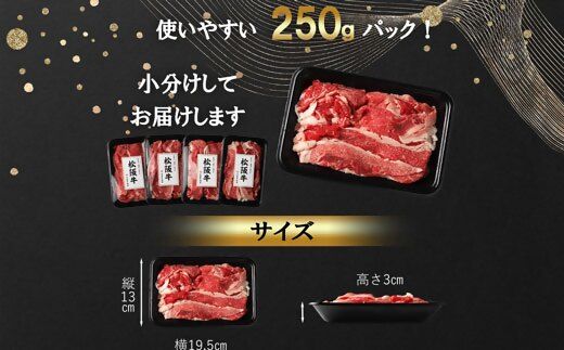 【2-165】松阪牛プレミアム切り落とし250ｇ×2P（500ｇ）