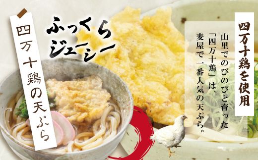 R5-798．四万十うどんと四万十鶏の天ぷら5食セット