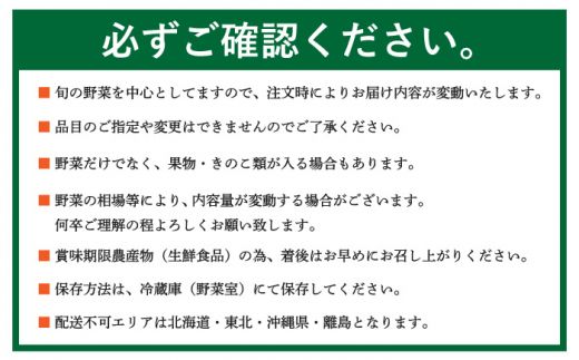 季節の野菜 15種類 セット 旬 産地直送 詰め合わせ / 野菜 南島原市 / ふるさと企画 [SBA023] 