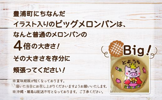 北海道 豊浦 ビックメロンパン おまかせパン12個セット TYUO009
