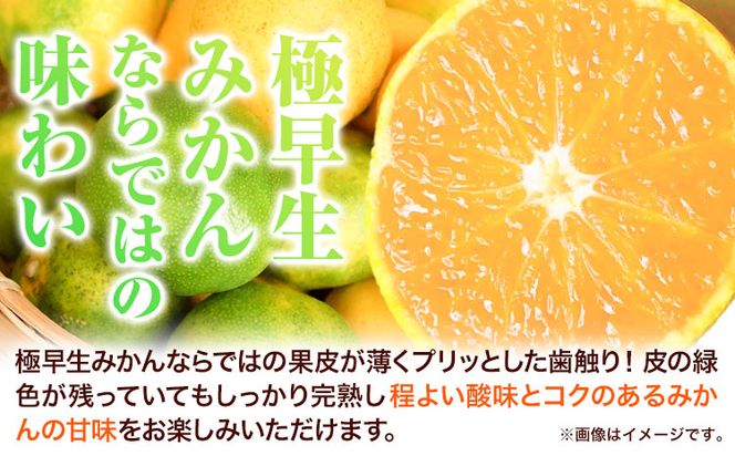 紀州和歌山有田産 ゆら早生みかん 選べる 約5kg 約10kg 株式会社魚鶴商店《10月上旬-11月上旬頃出荷》 和歌山県 日高町 みかん 早生 柑橘---wsh_utsywm_ad10_22_13000_5kg---