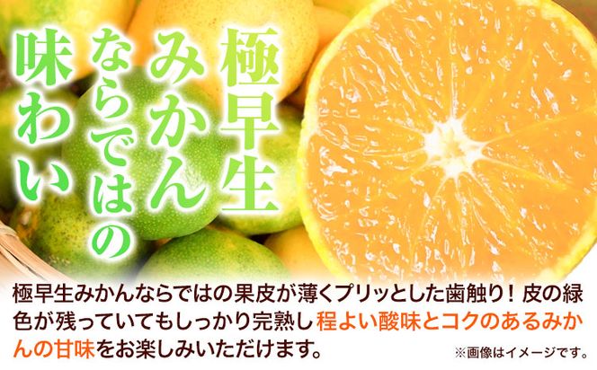 紀州和歌山有田産 ゆら早生みかん 選べる 約5kg 約10kg 株式会社魚鶴商店《2026年10月-11月頃出荷》 和歌山県 日高町 みかん 早生 柑橘---wsh_utsywm_10g11j_25_13000_5kg---