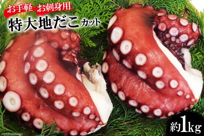 CF083 【お手軽 お刺身用】長崎県産 特大地だこ カット　約1kg 