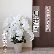 BH-1a 【造花】胡蝶蘭 7本立