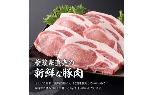 宮崎県産豚肉 小野さんちの豚ロースステーキ 3kg 【 豚肉 豚 肉 宮崎県産 小分け 6パック 】 [E10507]