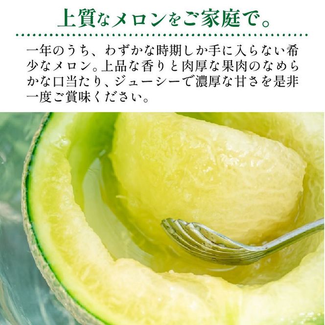 【先行予約／数量限定50】希少品種 黄美香（きみか）メロン 2玉（2026年7月下旬～発送） 国産 ギフト めろん 先行予約 期間限定 ふるさと 納税 フルーツ くだもの 果物　DE00175