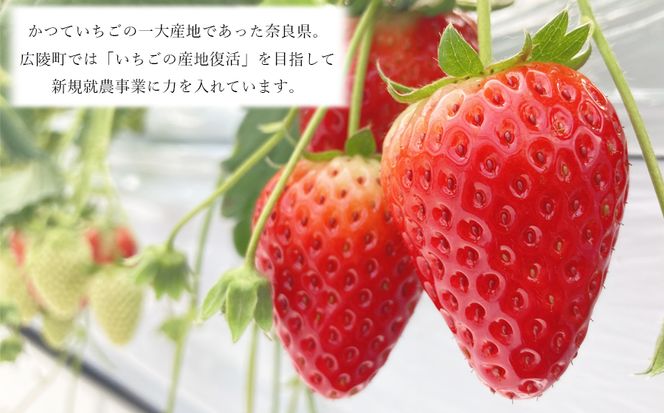 【広陵町×曽爾村連携返礼品】古都華100％使用 いちごバター2本セット【1月下旬より順次発送】  /// いちご 古都華 いちごバター バゲット パン 瓶 バター