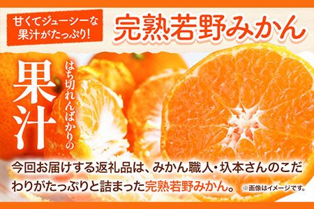 訳あり みかん 5kg 10kg 完熟 若野みかん 約5kg 約10kg サイズ混合 圦本農園 《11月下旬-12月中旬頃出荷》和歌山県 日高川町 送料無料 訳ありみかん 10キロ 5キロ わけありみかん わけあり 若野 みかん ミカン 柑橘 完熟 フルーツ 果物 お取り寄せフルーツ---wshg_yrm5_11g12c_25_11000_5kg---