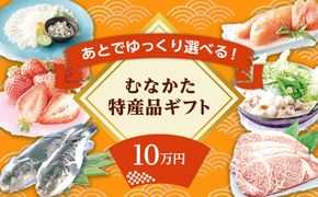 あとでゆっくり選べる!むなかた特産品10万円コース_HY0010