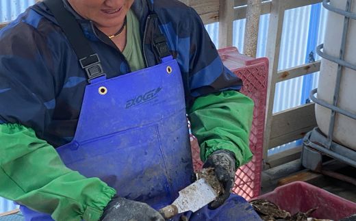 ＼先行予約／北海道 仙鳳趾名産 牡蠣 100g～149g×20コ かき漁師直送 K5-1＜出荷期間：2026年6月1日～11月末＞＜センポウシ : 釧路町の東 厚岸湾の西 カキの名産地＞ | せんぽうし 牡蠣 生食用 殻付き 牡蠣 絶品 産地直送 北海道 釧路町 釧路超 特産品　121-1267-27