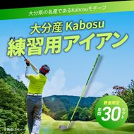 【R14144】大分産 Kabosu スイング練習用アイアン