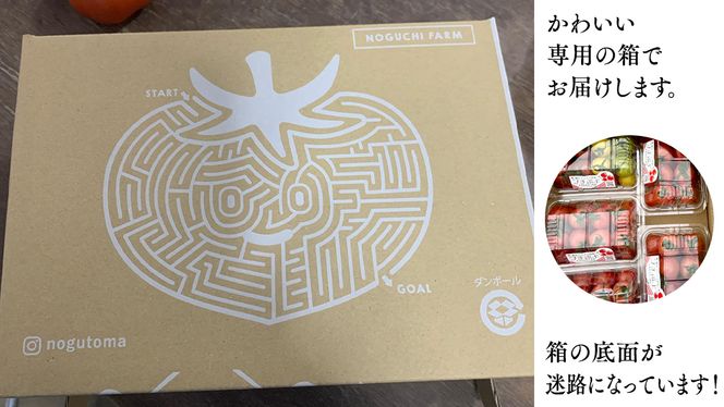 プチぷよ ミニトマト 合計 約1kg （約200g × 5パック） トマト ミニトマト プチぷよ 新鮮 美味しい 野菜 [J008-NT]