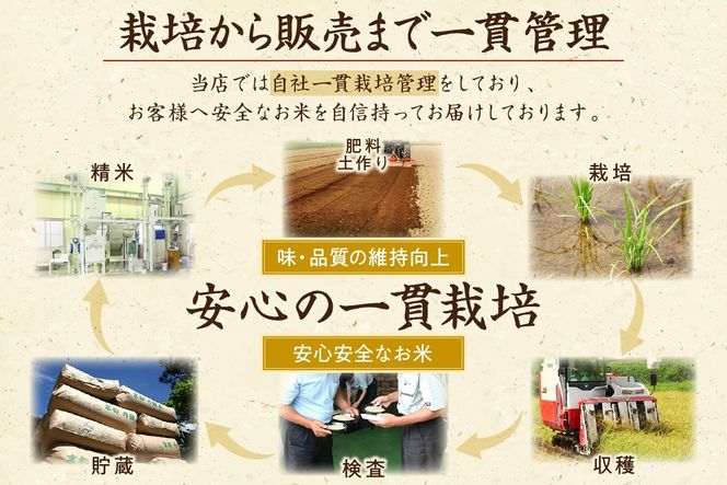 京都・丹後コシヒカリ 無洗米 5kg　米 お米 コシヒカリ ふるさと納税 無洗米 ふるさと納税 米 ふるさと納税 お米 ふるさと納税 コシヒカリ 農家応援 生産者応援 送料無料　HM00009