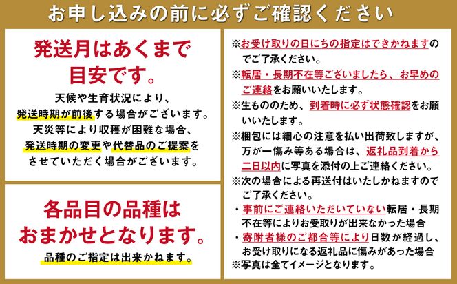 【6回定期便 Aコース】【ご家庭用】フルーツ定期便 旬のフルーツセット/ いちご 柑橘類 スイカ メロン 梨 キウイ / 南島原市 / 長崎県農産品流通合同会社 [SCB065]