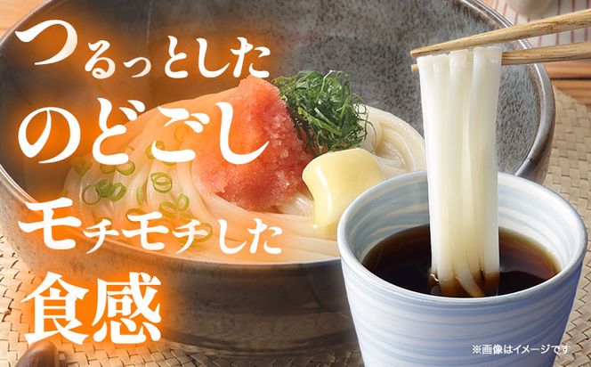 うどん 手延べ 細うどん 200g×6袋 1.2kg かも川手延素麺株式会社《30日以内に発送予定(土日祝除く)》岡山県 浅口市 紙箱入 お土産 送料無料 麺 小麦 粉もの 細うどん 丸麺 ---124_662_30d_24_10000_1---