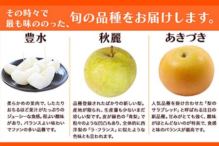 坂村梨園 玉東梨 熊本県玉名郡玉東町 約5kg(5～18玉前後) 梨 なし 果物 旬の梨 《8月中旬-11月上旬頃出荷》豊水 秋麗 あきづき 甘太 新高 新興---sg_cmuranashi_g811_r8_14500_5kg---