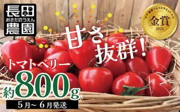 【お試し】幻のミニトマト トマトベリー 約800g H004-114