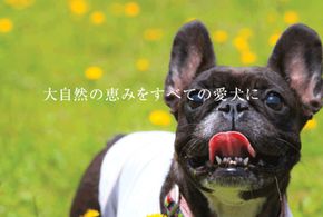 犬のおやつ 小袋5点セット