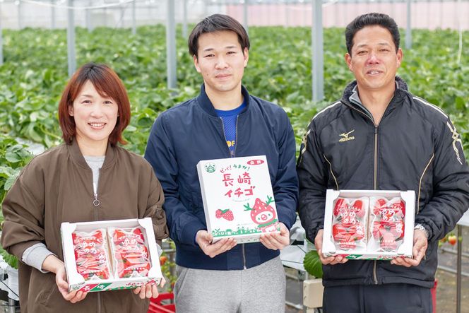 【期間限定発送】EA050 長崎県知事賞受賞【 大玉 いちご 】「 ゆめのか （3L～5L）」265g×4パック ＜1～4月にお届け＞