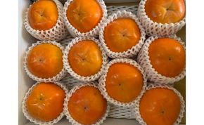 富有柿 赤秀品 2Lサイズ 化粧箱（11個）CC41