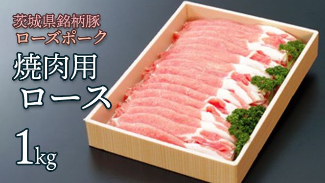 y錧㒬z[Y|[N@[X(ēp)@P@[AC001ya]
