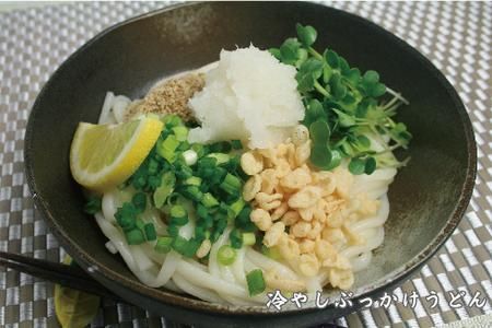 ふっくらモチモチ神埼生うどん 20袋入 【麺 うどん 生うどん 釜揚げうどん】(H014137)