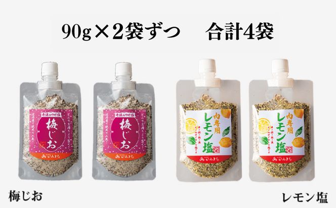 099H2494 焼き肉専門店 梅じお レモン塩 スパイスセット 90g×合計4袋 お試し