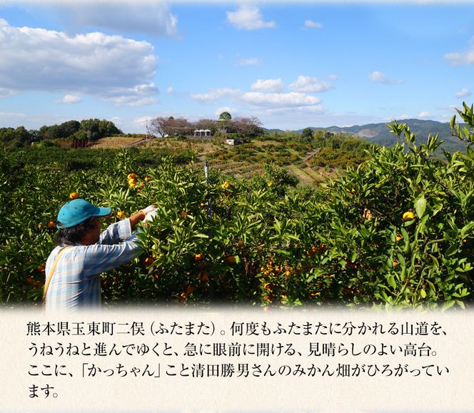 ご家庭用『かっちゃんファーム』のご家庭用みかん★ 約10kg【2S-2Lサイズ(大小サイズ混合)】《1月上旬-1月末頃出荷予定》 自然本来のおいしさ！---sg_kmkn2s2l_ac1_25_10000_10kg---