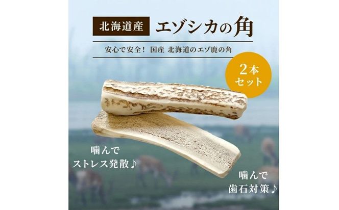 鹿の角　セット 楽天市場】鹿ツノBセット令和7年1月獲れ！※おやつは時期により