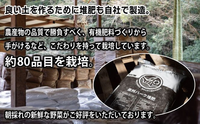 099H2857 ねね屋のとれたて野菜セット 5品目以上 詰め合わせ