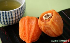 あんぽ柿 蜂屋柿 トレー 230g×8パック◇ ※沖縄・離島への配送不可 ※2025年12月中旬～2026年3月中旬頃に順次発送予定