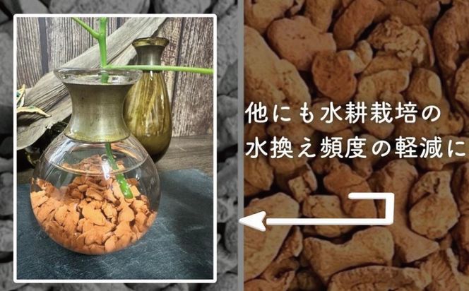 三河焼植木鉢ハーモニーブラウン【テラチップいぶし】プランター お手軽植物栽培セット H188-003