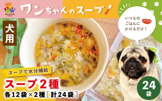 yml\szR5-091D̂͂ɂ邾IX[v2 e12×2iv24܁jyybgt[hz