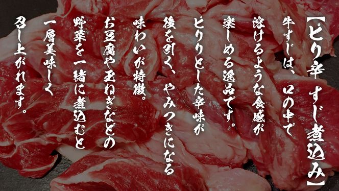 【 常陸牛 】 すじカレー 200g × 2 ・ ピリ辛 すじ煮込み 250g × 2 食べ比べ セット 常陸牛 カレー すじ煮込み 牛肉 時短 ふるさと納税 10000円 [AU105ya]