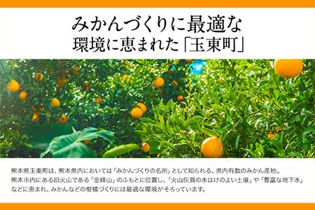 清田農園のご家庭用不知火10玉-16玉(L-2Lサイズ) あのデコポンと同品種 熊本県玉名郡玉東町《3月上旬-3月末頃出荷》---sg_kytsrn_ac3_24_12000_10p---