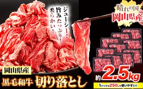 牛肉 黒毛和牛 切り落とし 2.5kg《30日以内に出荷予定(土日祝除く)》 岡山県 浅口市 牛 牛肉 和牛 牛丼 カレー 小分け 小分けパック 250g 送料無料 ---124_f658_30d_24_25000_25---