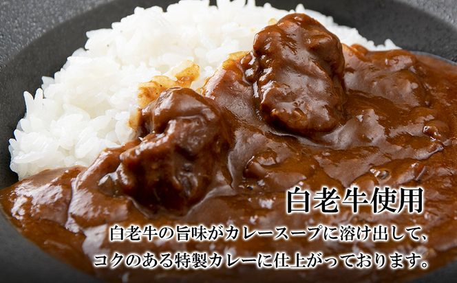 定期便 12カ月 和牛 ビーフカレー 6個セット＜徳寿＞ 200ｇ×6袋 BJ043