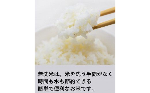 米 コシヒカリ 無洗米 300g × 3袋 [お米食堂 富山県 舟橋村 57050248] お米 米 こめ コメ 無洗米 白米 精米 ごはん 真空包装 真空パック 備蓄 長期保存 富山県産